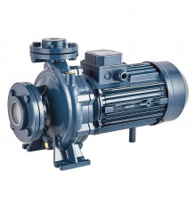 Консольно-моноблочный фланцевый насос PURITY PSTC 100-200/300 (N)